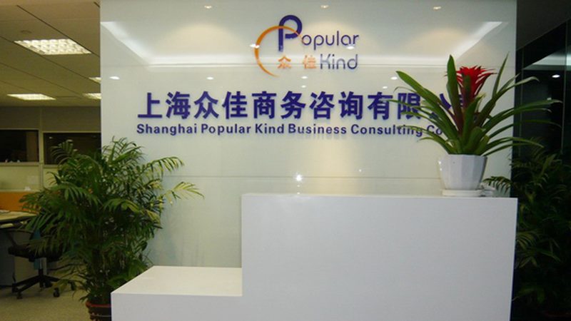 战略咨询报告：企业决策的隐形罗盘