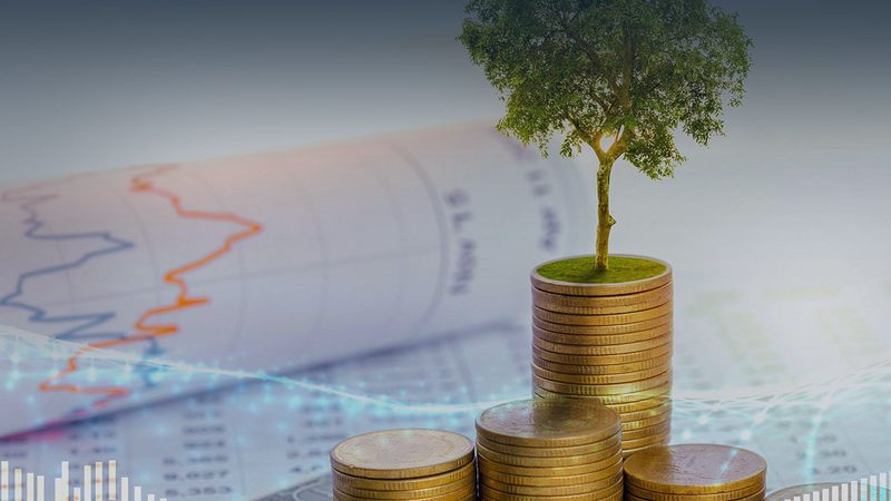 上市辅导材料清单：如何高效整理，助力企业腾飞